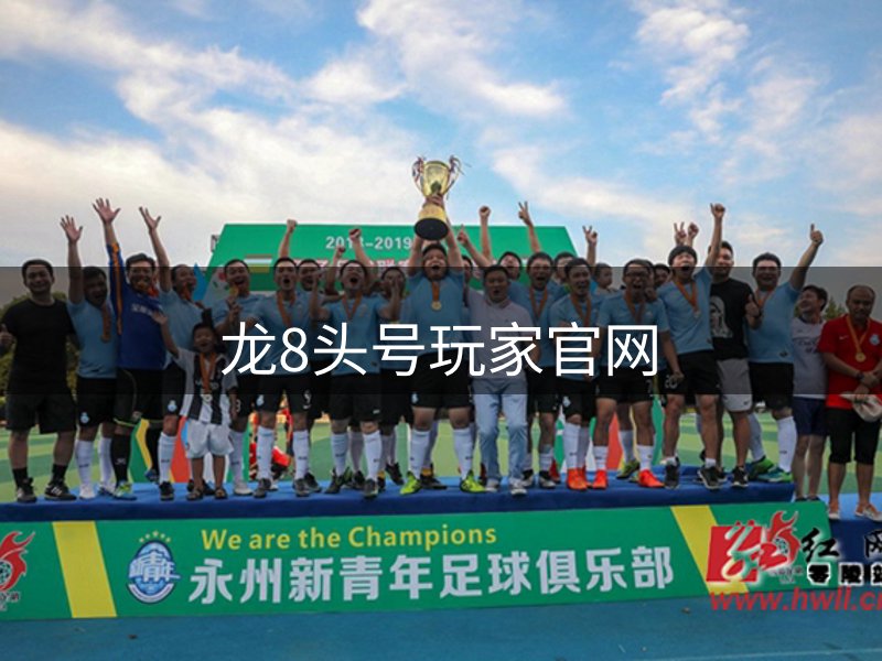 网站概况